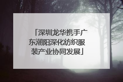 深圳龙华携手广东潮阳深化纺织服装产业协同发展