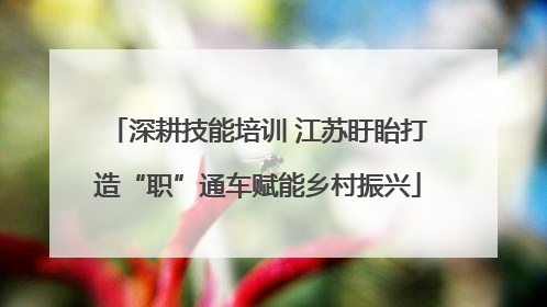 深耕技能培训 江苏盱眙打造“职”通车赋能乡村振兴