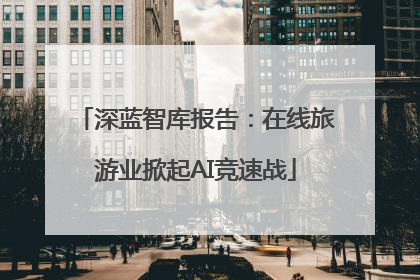 深蓝智库报告：在线旅游业掀起AI竞速战