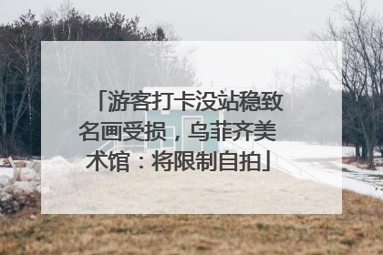 游客打卡没站稳致名画受损，乌菲齐美术馆：将限制自拍
