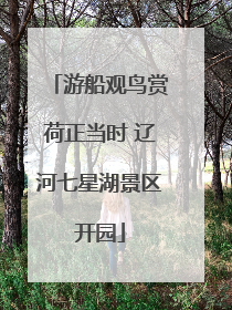 游船观鸟赏荷正当时 辽河七星湖景区开园