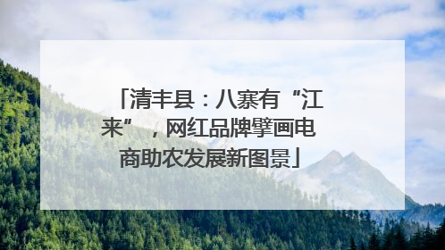清丰县：八寨有“江来”，网红品牌擘画电商助农发展新图景