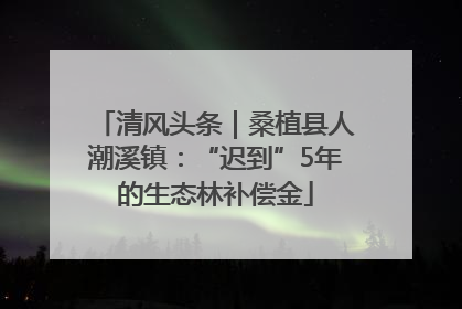 清风头条｜桑植县人潮溪镇：“迟到”5年的生态林补偿金
