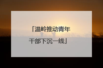温岭推动青年干部下沉一线