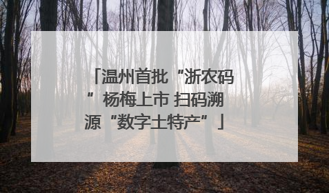 温州首批“浙农码”杨梅上市 扫码溯源“数字土特产”