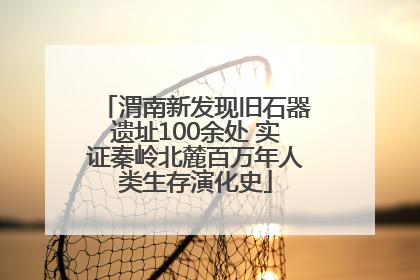 渭南新发现旧石器遗址100余处 实证秦岭北麓百万年人类生存演化史