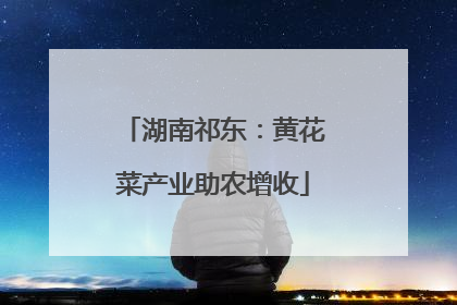湖南祁东：黄花菜产业助农增收