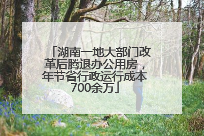 湖南一地大部门改革后腾退办公用房，年节省行政运行成本700余万