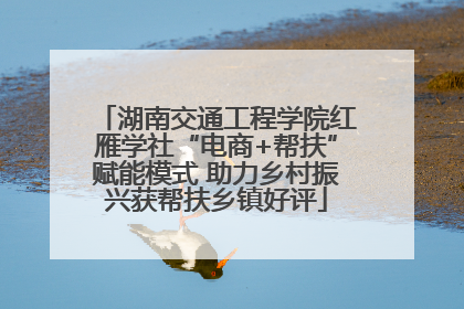 湖南交通工程学院红雁学社“电商+帮扶”赋能模式 助力乡村振兴获帮扶乡镇好评