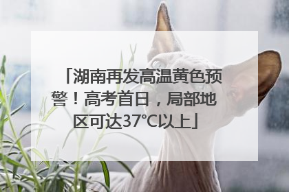 湖南再发高温黄色预警！高考首日，局部地区可达37℃以上