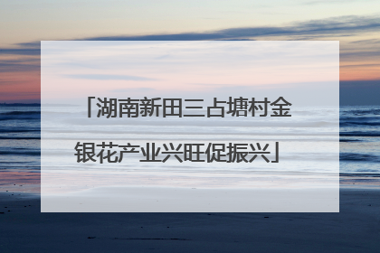 湖南新田三占塘村金银花产业兴旺促振兴