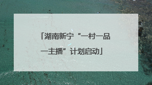 湖南新宁“一村一品一主播”计划启动