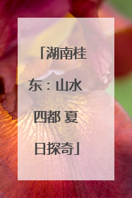 湖南桂东：山水四都 夏日探奇
