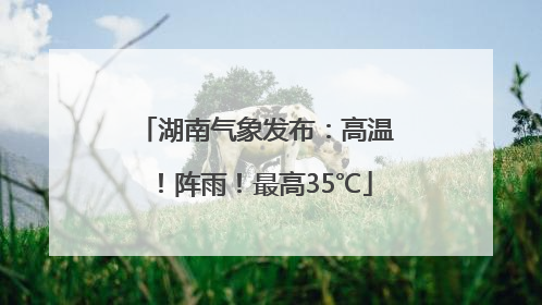 湖南气象发布：高温！阵雨！最高35℃