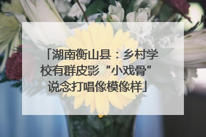 湖南衡山县：乡村学校有群皮影“小戏骨” 说念打唱像模像样