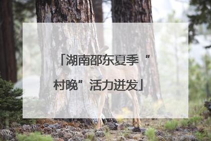 湖南邵东夏季“村晚”活力迸发