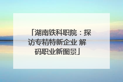 湖南铁科职院：探访专精特新企业 解码职业新图景
