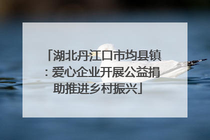 湖北丹江口市均县镇：爱心企业开展公益捐助推进乡村振兴