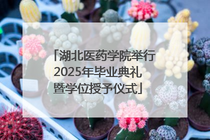湖北医药学院举行2025年毕业典礼暨学位授予仪式