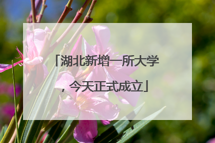 湖北新增一所大学，今天正式成立