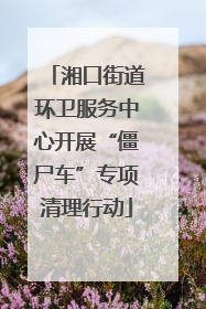 湘口街道环卫服务中心开展“僵尸车”专项清理行动
