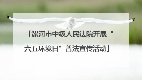 漯河市中级人民法院开展“六五环境日”普法宣传活动