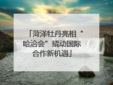 菏泽牡丹亮相“哈洽会”撬动国际合作新机遇