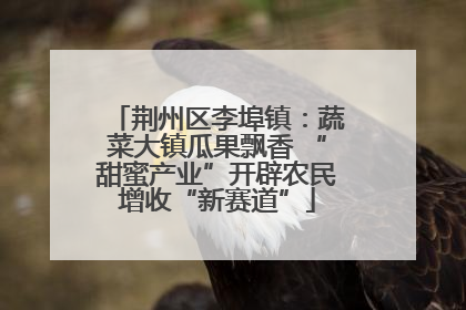 荆州区李埠镇：蔬菜大镇瓜果飘香 “甜蜜产业”开辟农民增收“新赛道”