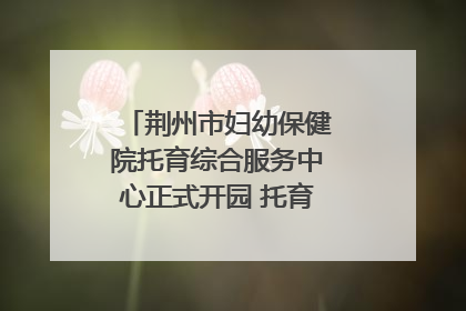 荆州市妇幼保健院托育综合服务中心正式开园 托育宣传月同步启动