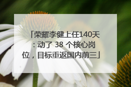 荣耀李健上任140天：动了 38 个核心岗位，目标重返国内前三
