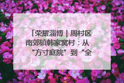 荣耀淄博｜周村区南郊镇韩家窝村：从“方寸庭院”到“全域文明”，乡村振兴的“美学革命”