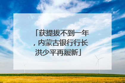 获提拔不到一年，内蒙古银行行长洪少平再履新