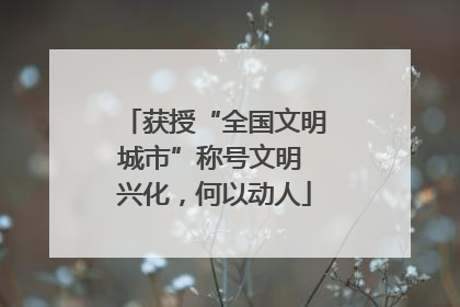 获授“全国文明城市”称号文明 兴化，何以动人