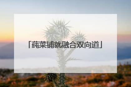 莼菜铺就融合双向道