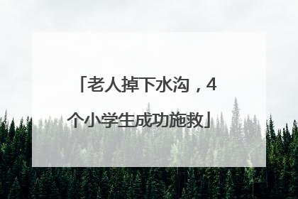 老人掉下水沟，4个小学生成功施救