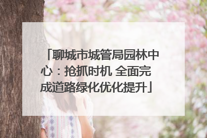 聊城市城管局园林中心：抢抓时机 全面完成道路绿化优化提升