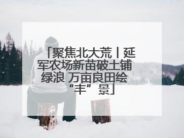 聚焦北大荒丨延军农场新苗破土铺绿浪 万亩良田绘“丰”景