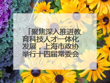 聚焦深入推进教育科技人才一体化发展，上海市政协举行十四届常委会第十八次会议，胡文容出席并讲话