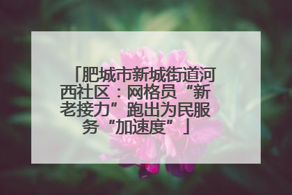 肥城市新城街道河西社区：网格员“新老接力”跑出为民服务“加速度”