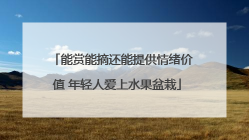 能赏能摘还能提供情绪价值 年轻人爱上水果盆栽