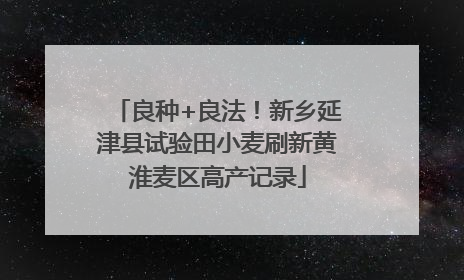 良种+良法！新乡延津县试验田小麦刷新黄淮麦区高产记录
