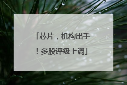 芯片，机构出手！多股评级上调