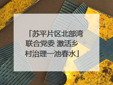 苏平片区北部湾联合党委 激活乡村治理一池春水