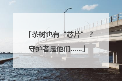 茶树也有“芯片”？守护者是他们……