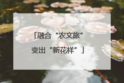 融合“农文旅” 变出“新花样”