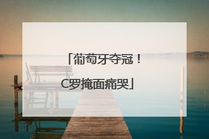 葡萄牙夺冠！C罗掩面痛哭