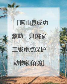 蓝山县成功救助一只国家二级重点保护动物领角鸮