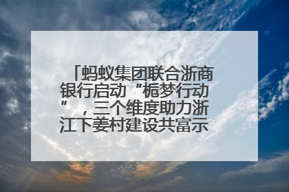 蚂蚁集团联合浙商银行启动“栀梦行动”，三个维度助力浙江下姜村建设共富示范区示范点