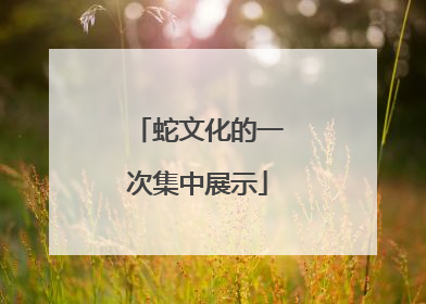 蛇文化的一次集中展示