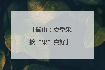 蜀山：夏季采摘“果”真好